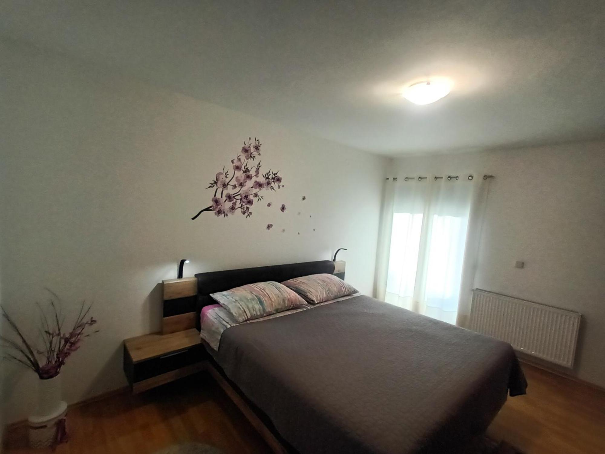 Apartment Anita ザダル エクステリア 写真